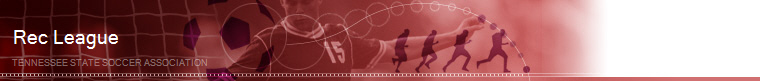 Medina Soccer Association - Recreational / City League banner